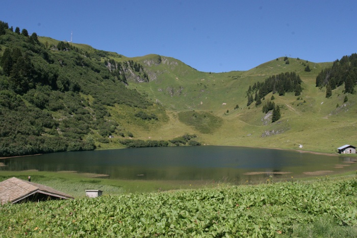 Lac Chavonnes - 001